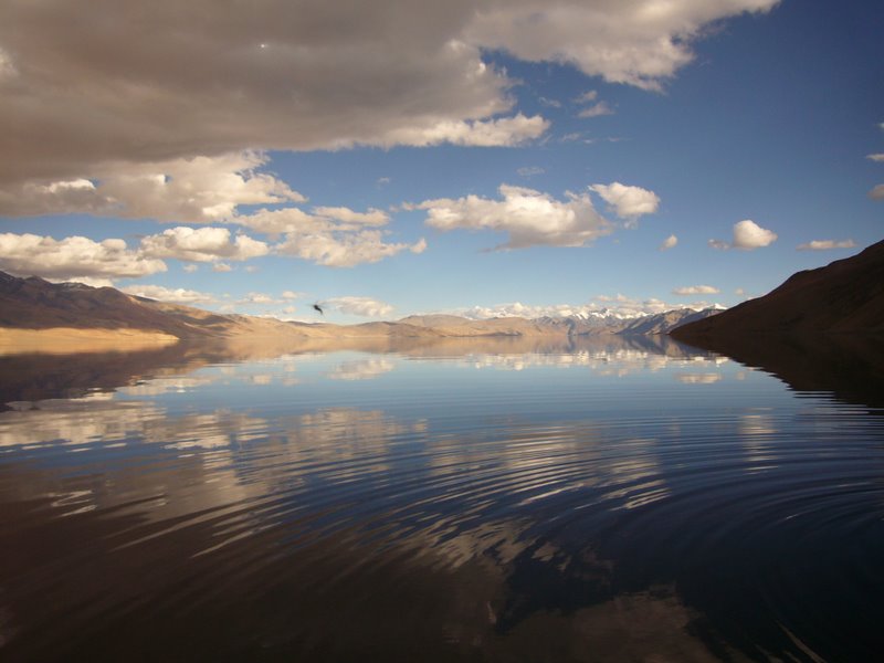 Lake view